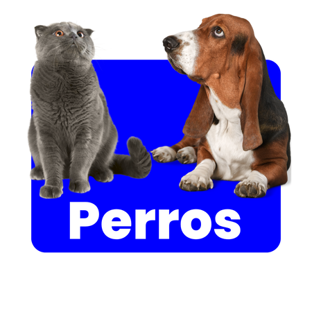 Perros